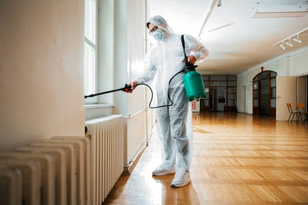 Professional Pest Control in West Hazleton, PA